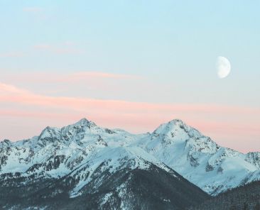 blocks-image-129 (Demo)